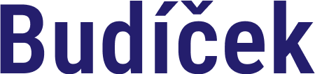 logo budíček